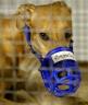 Lannis Waters / The Palm Beach Post