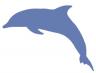 dolphin_silhouette.jpg