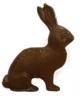chocolate-bunny.jpg