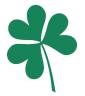 clover.jpg
