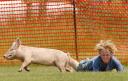 hawthorne_hogfest2.jpg
