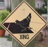 chicken-crossing.jpg