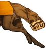 greyhound_graphic.jpg