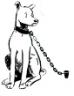 dog-chain.jpg