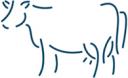 cow.jpg
