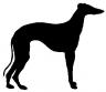 greyhound_bw.jpg