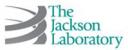 jackson.JPG