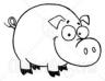 happy-pig.jpg
