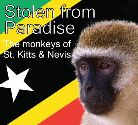 St. Kitts & Nevis